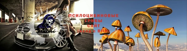 Альфа ПВП Верея