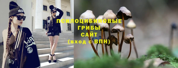 бошки Кулебаки