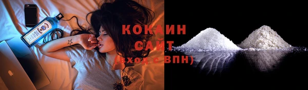 Альфа ПВП Верея