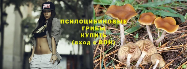 стафф Волоколамск