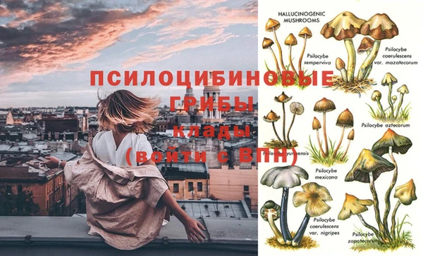 гидропоника Верхнеуральск