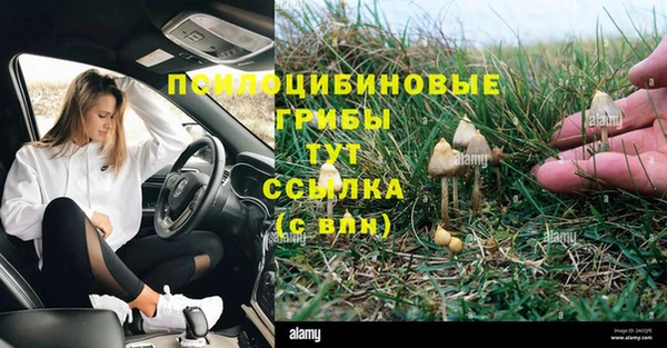 альфа пвп Володарск